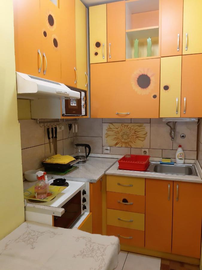 Apartment Adela Пожареваць Екстер'єр фото